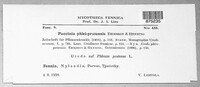 Puccinia graminis image